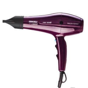 سشوار پرینسلی مدل PR250