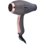 سشوار حرفه ای پرنسلی مدل PR252 - تصویر 3